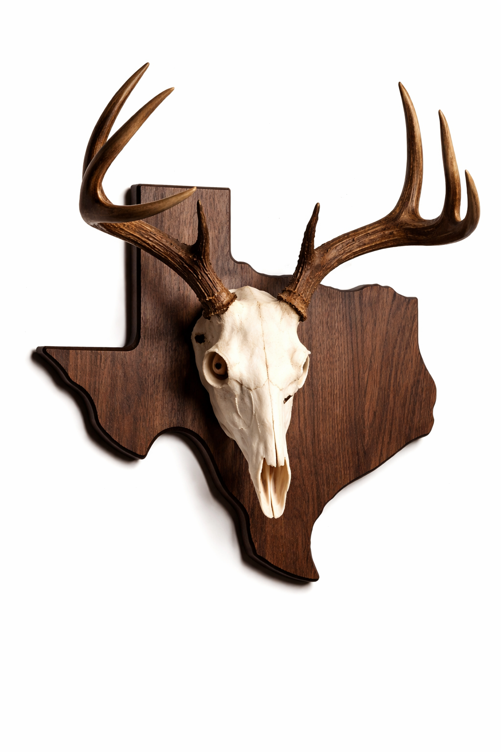 State & Skull™ Custom Skull Mount Board