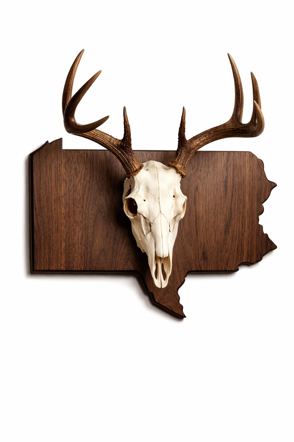 State & Skull™ Custom Skull Mount Board