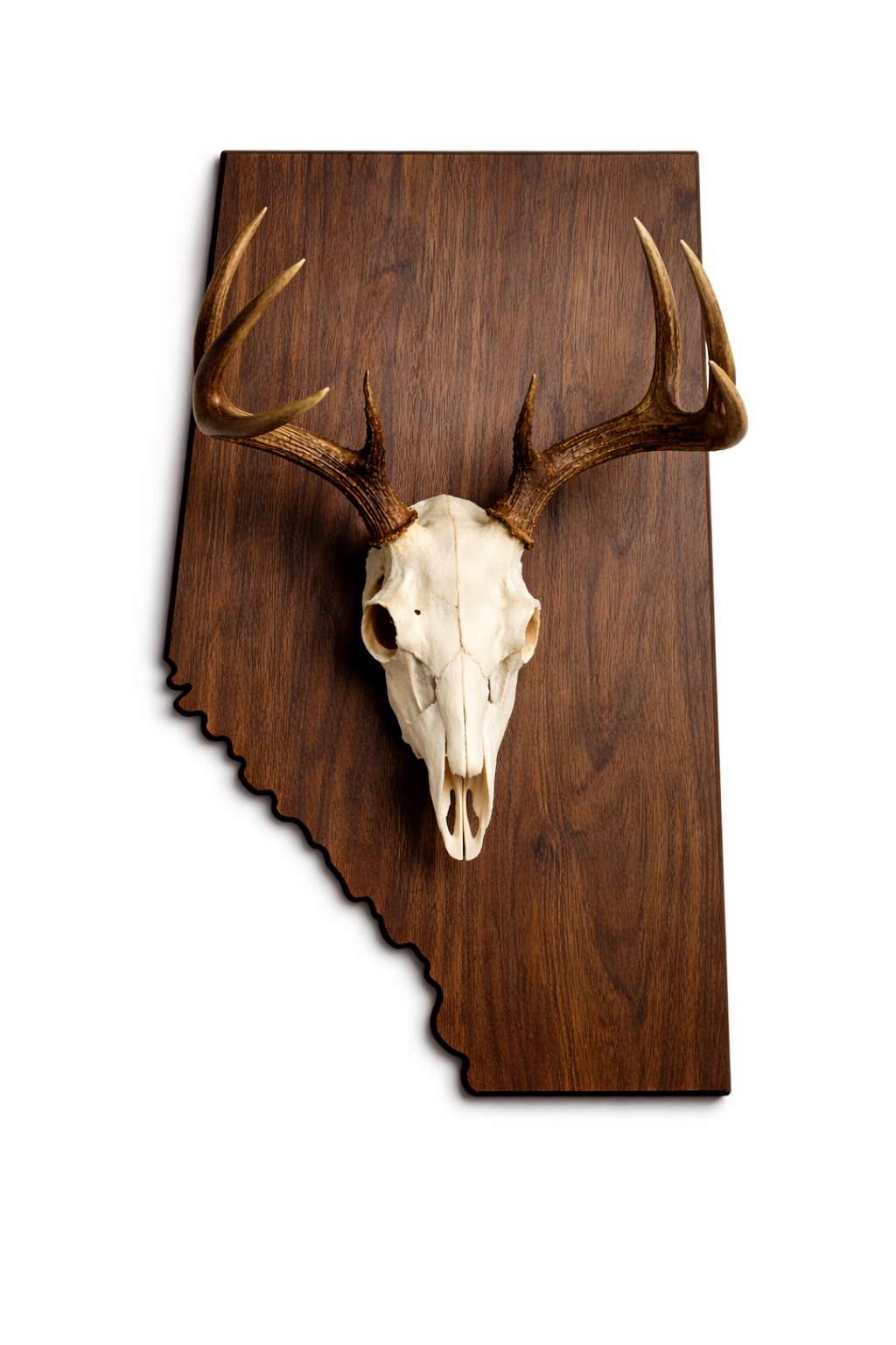 State & Skull™ Custom Skull Mount Board