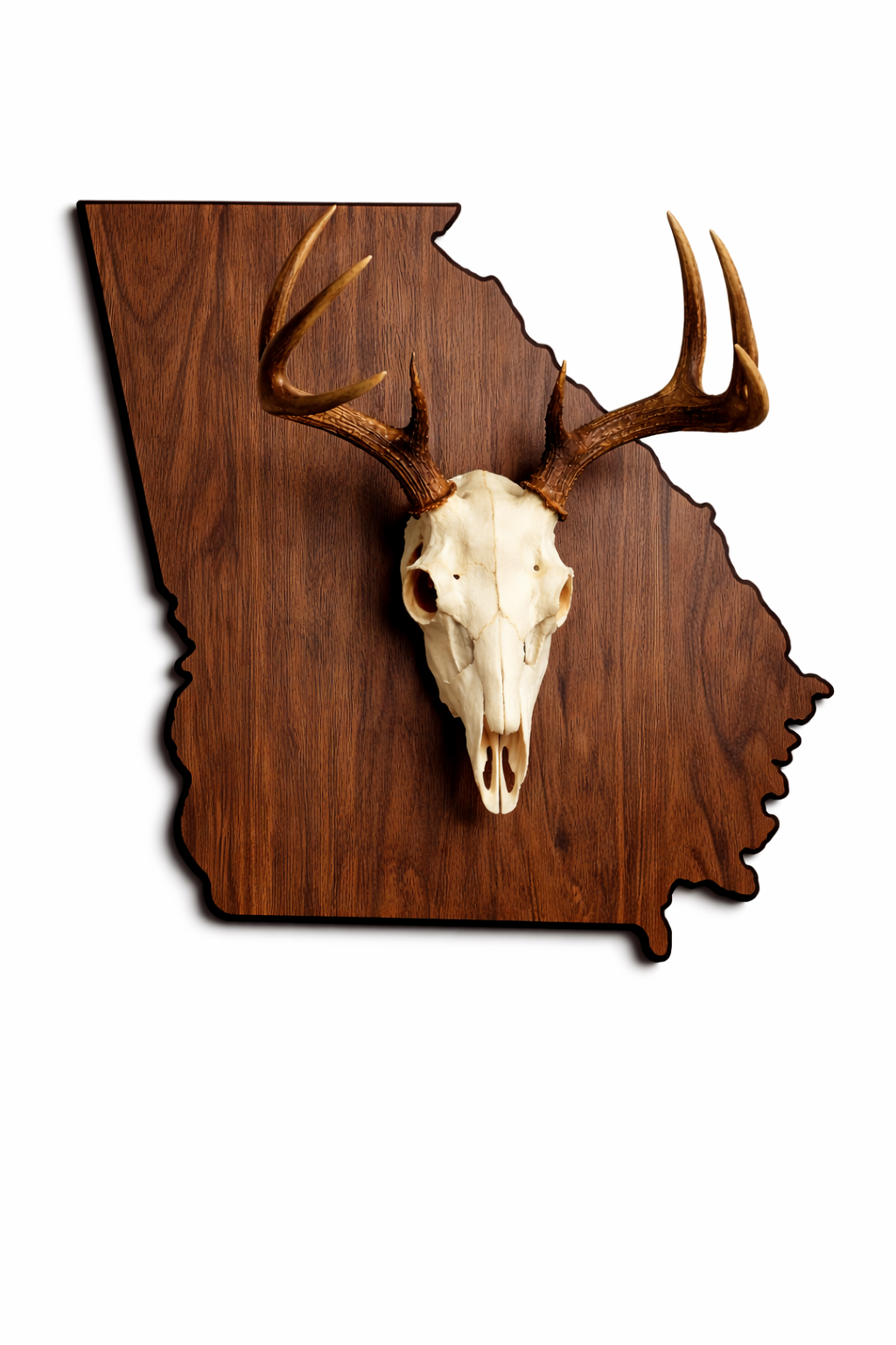 State & Skull™ Custom Skull Mount Board
