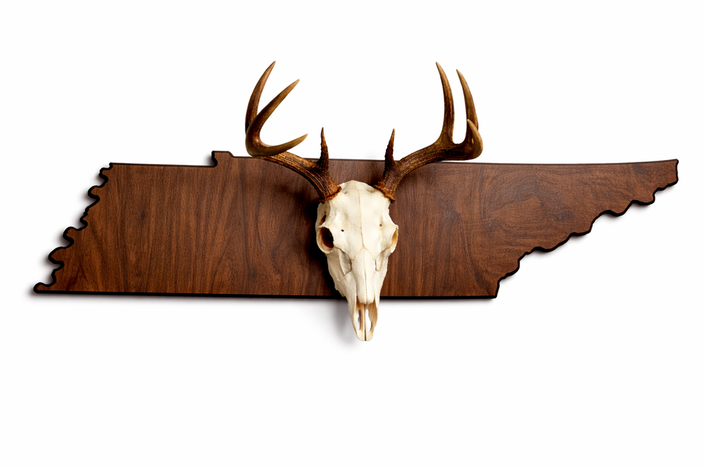 State & Skull™ Custom Skull Mount Board