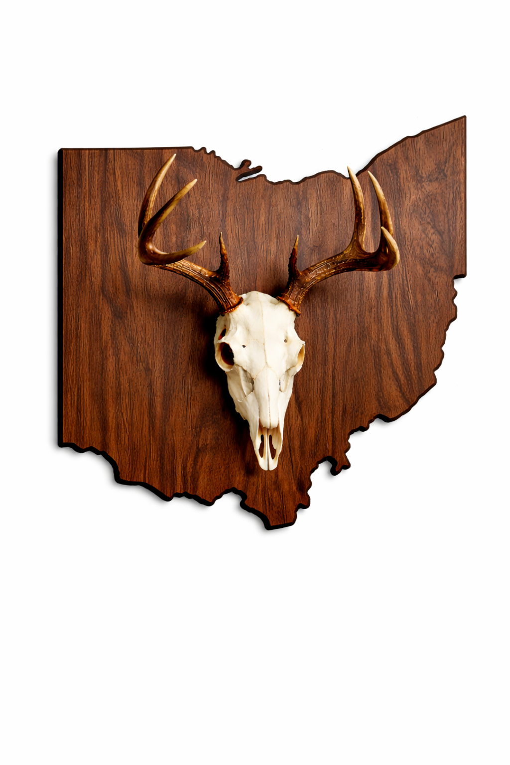State & Skull™ Custom Skull Mount Board