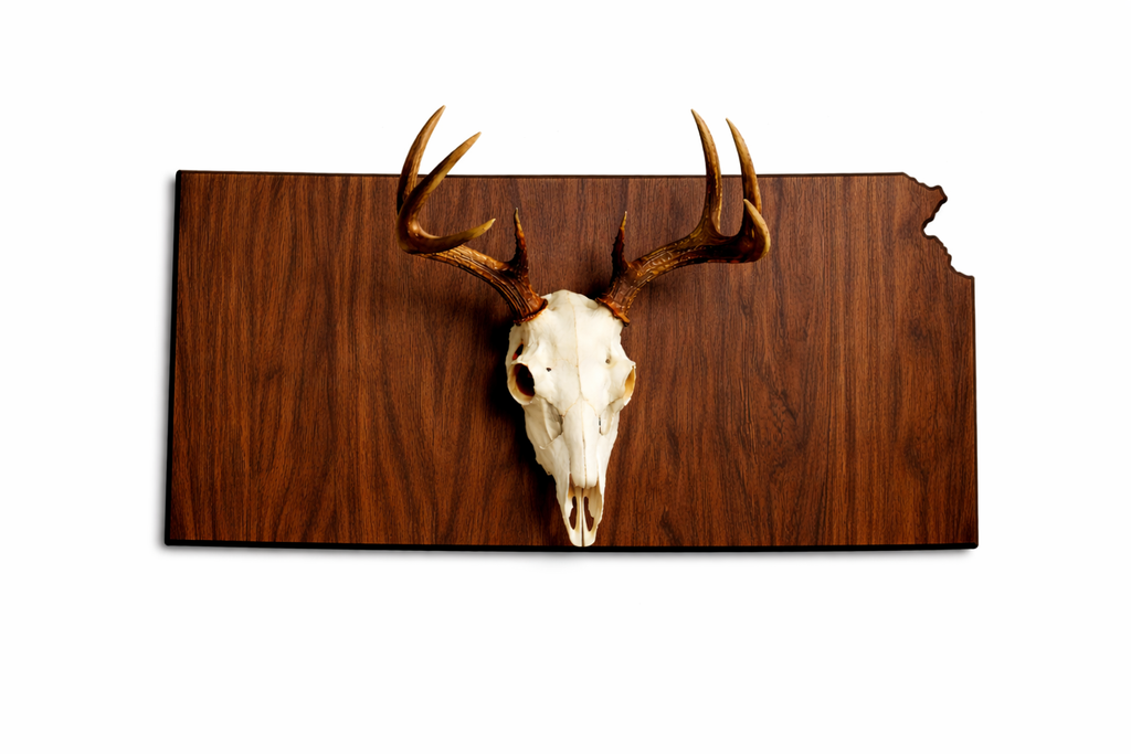 State & Skull™ Custom Skull Mount Board
