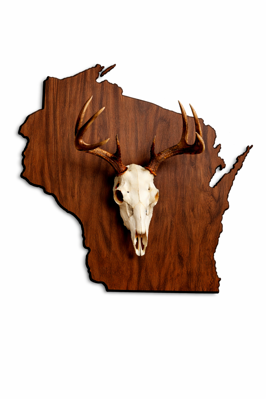 State & Skull™ Custom Skull Mount Board