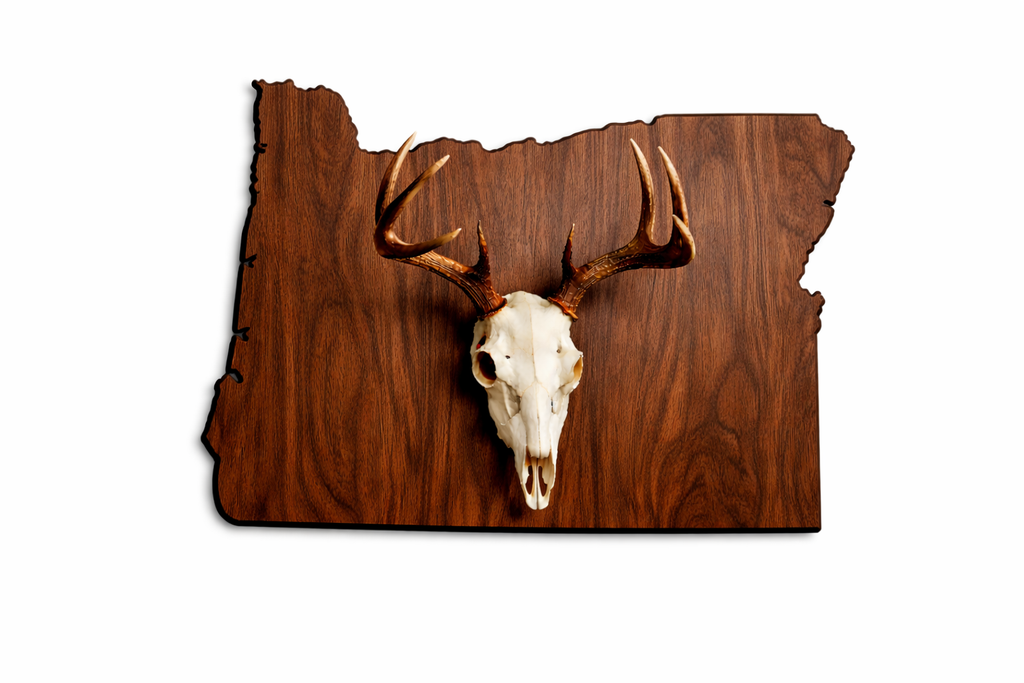 State & Skull™ Custom Skull Mount Board