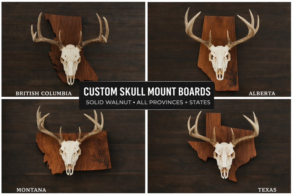 State & Skull™ Custom Skull Mount Board
